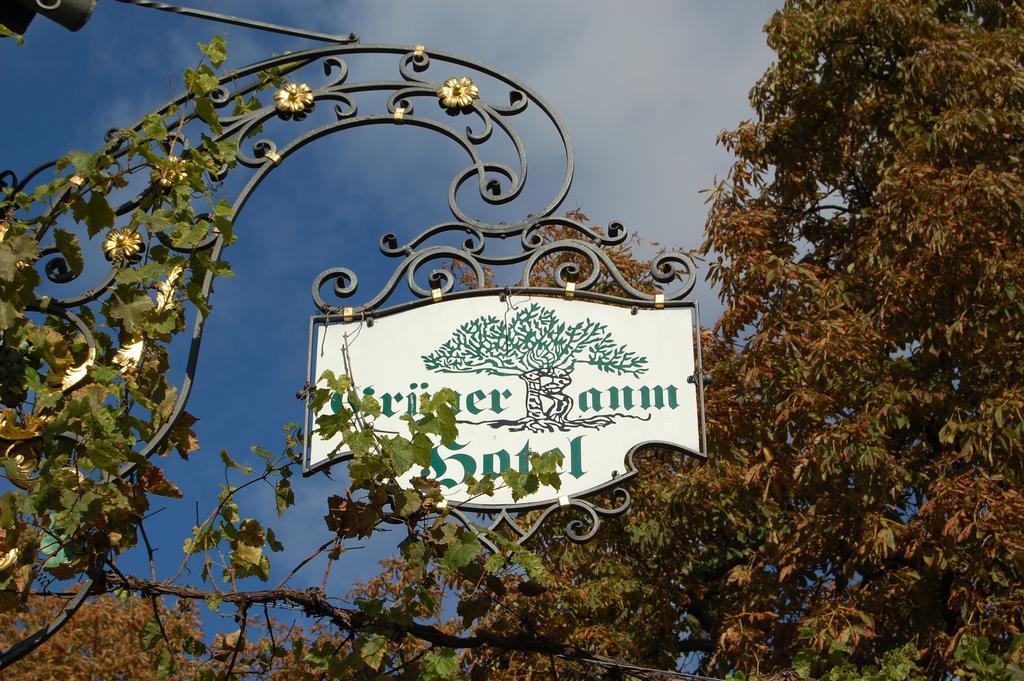 Hotel Gruener Baum Bretzenheim Luaran gambar